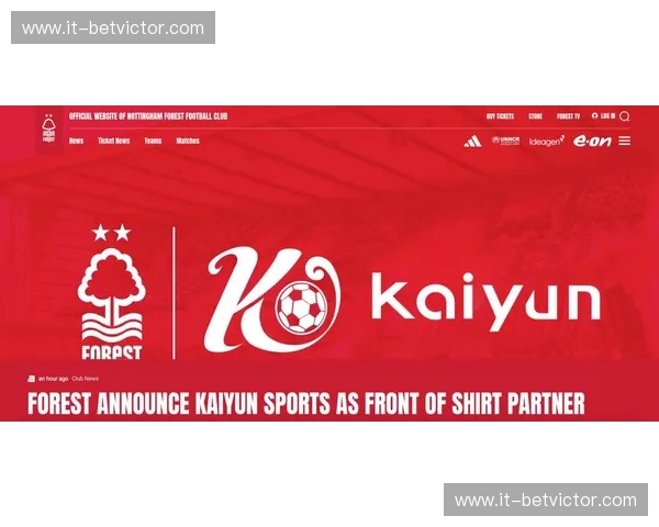 开云体育伤病更新：赛季动态背后的康复逻辑与前瞻