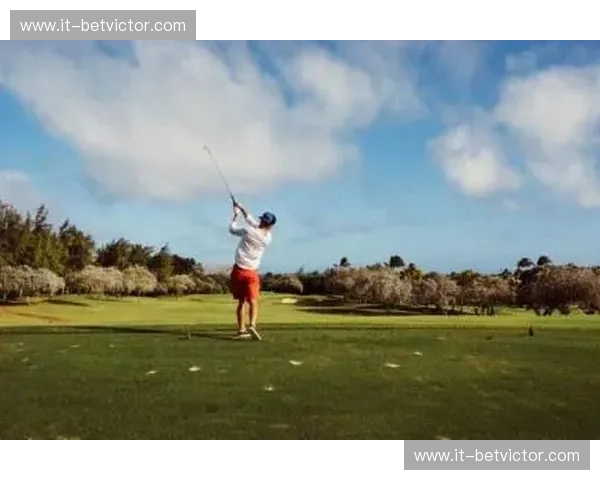 开云体育新闻：全面解析体育产业的未来发展趋势